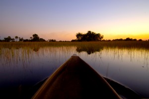 Okavango Dusk Cruise Jpg