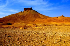 Palmyra Castle